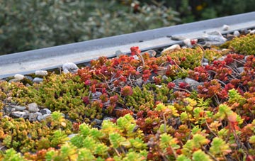 the cost of Llangynhafal green roof installation