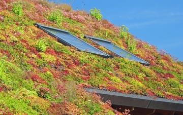 Llangynhafal living roof systems